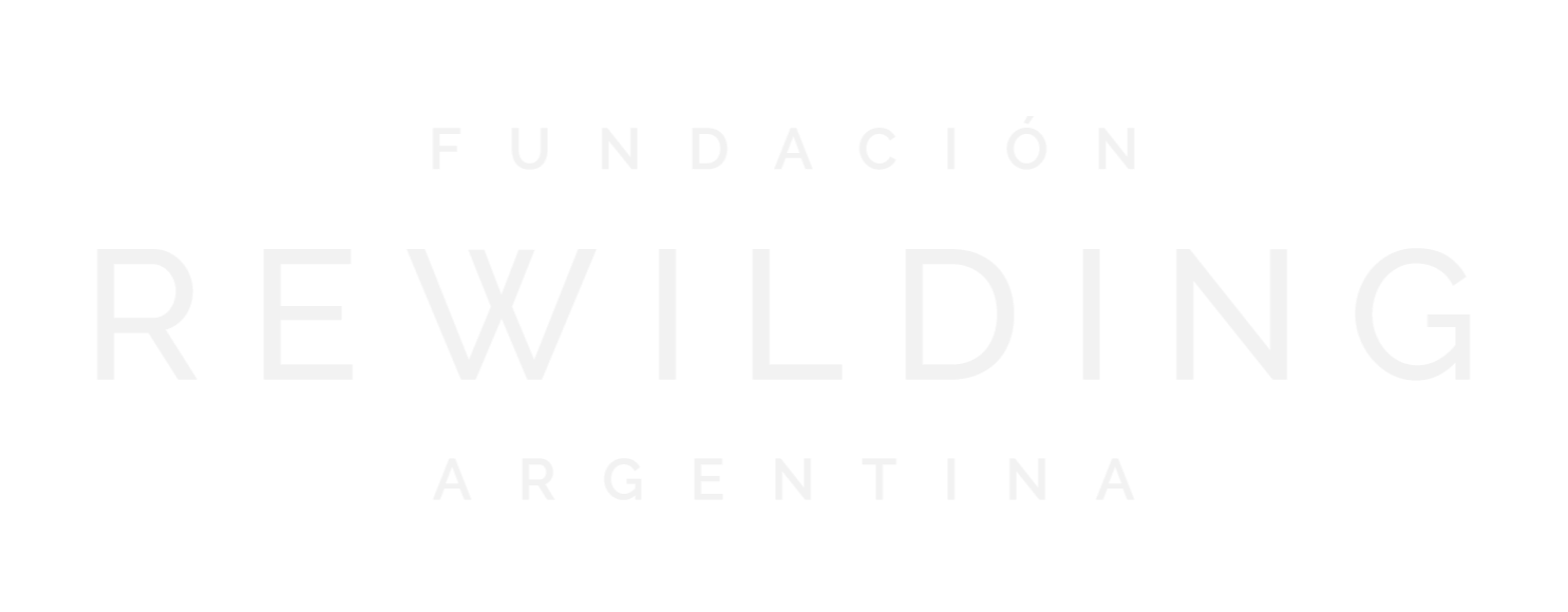 logo-rewildingArtboard-4-copy-3@2x-modified